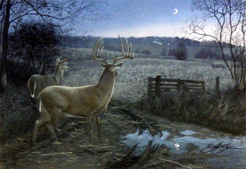 Scot Storm Autumn Encounter - 10"x7" Signed Edition
