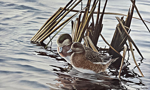 Ron Van Gilder First Light Widgeons Duck S/N Art Print 25 x 15