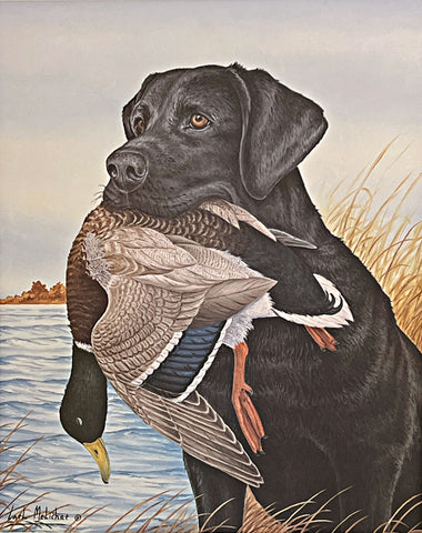 Carl Melichar Hunting Dog Print Fall Retrieve Black Lab with Mallard S/N (13x16)