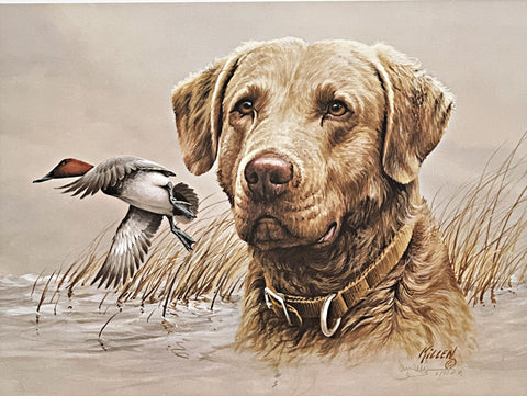 Jim Killen Sporting Dog Art Print A/P Chesapeake-Canvasbacks (19"x14")