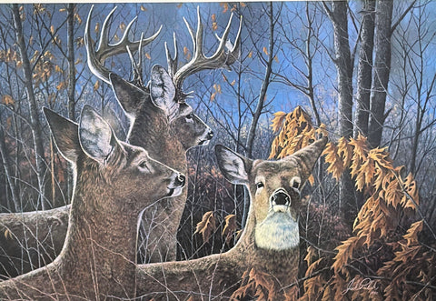 Jack Paluh Cautious Moment Whitetail Deer S/N Art Print 24 x 16