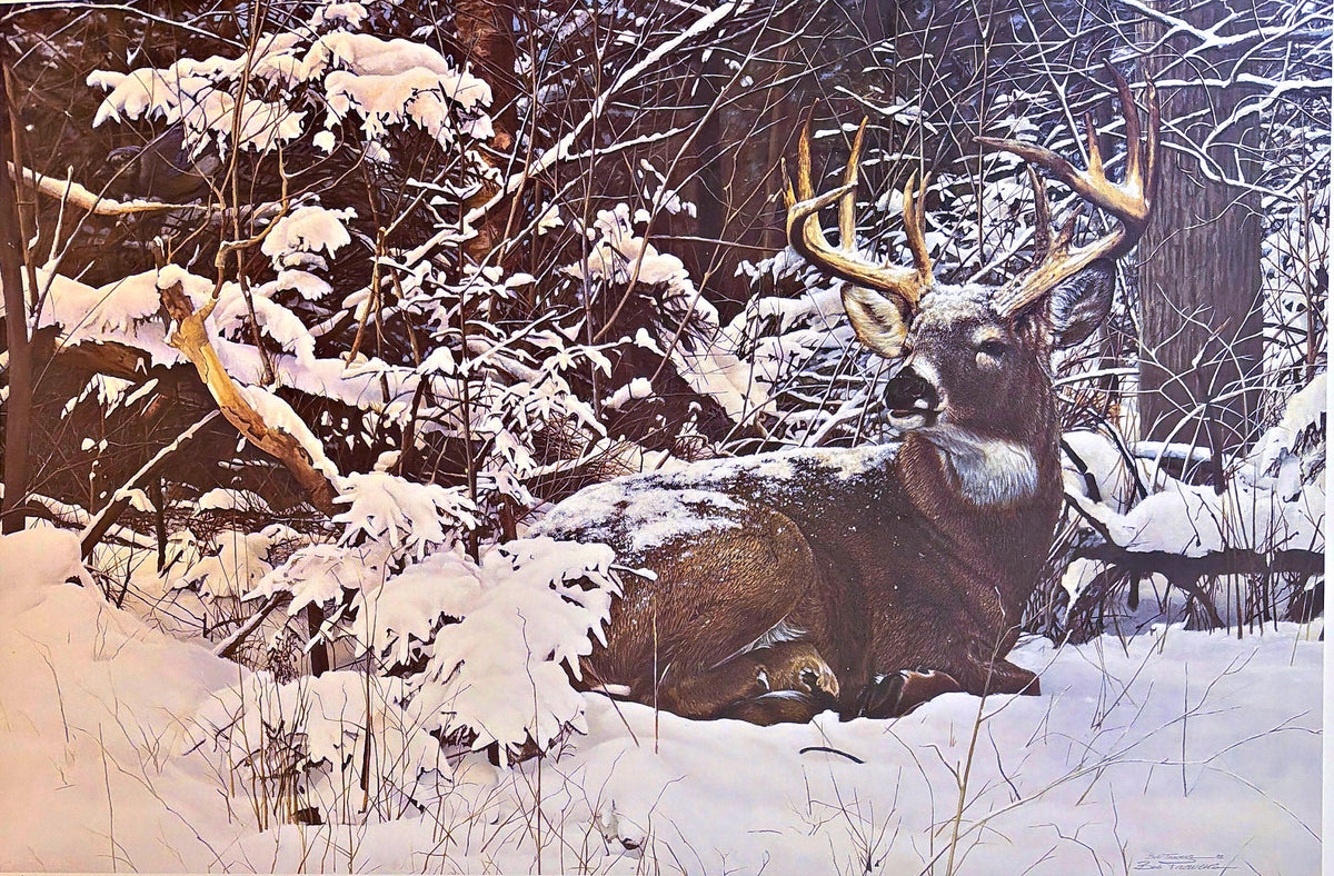 Bob Travers MDHA Whitetail Buck Deer Art Print Winter's Retreat S/N 24.25"x16.25"