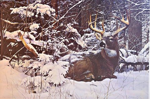 Bob Travers MDHA Whitetail Buck Deer Art Print Winter's Retreat S/N 24.25"x16.25"