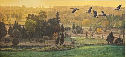 Brent Townsend Out of the Valley Wild Goose S/N Art Print with Cert