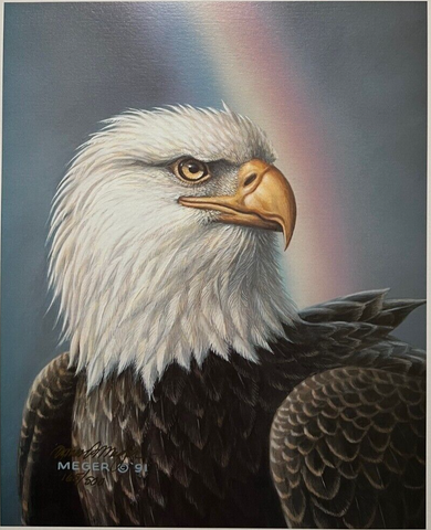 James Meger Spectrum S/N 10 x 12.5 Eagle Rainbow Art Print