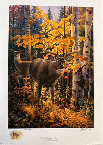 Greg Alexander Whitetail Deer S/N Art Print Something in the Air (13"x18.5")