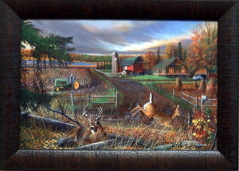 Kevin Daniel Dream Farm Pheasant Deer Art Print-Framed-Free Shipping