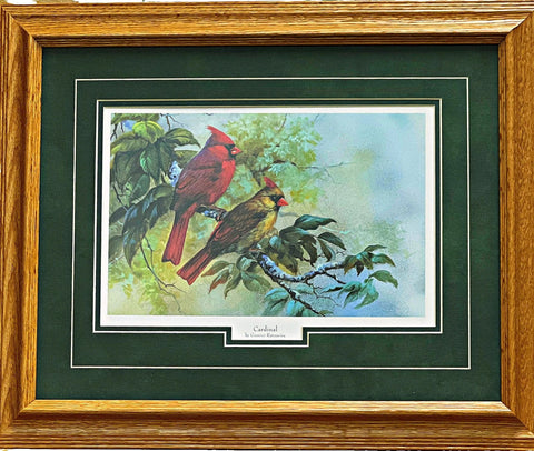 Cardinal by Gamini Ratnavira Framed Bird Art Print  21" x 17"