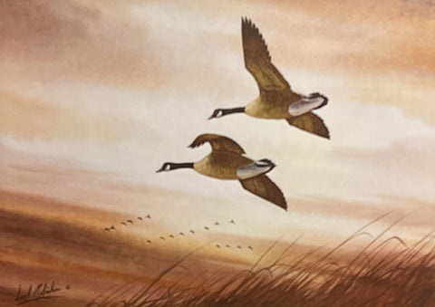 Carl Melichar Canadian Goose S/N Art Print Evening Pair (17"x12")