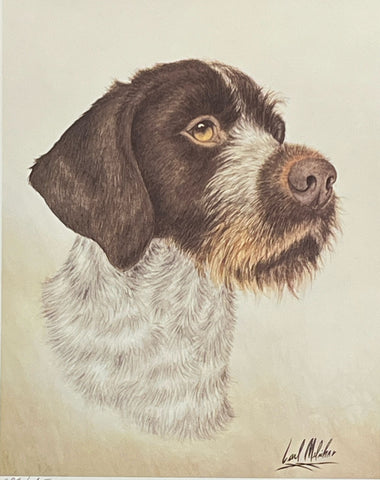 Carl Melichar S/N Hunting Dog Print German Wirehaired Pointer (9.5"x12"