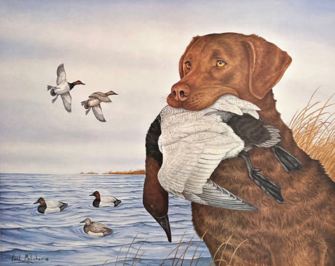 Carl Melichar S/N Hunting Dog Print The Limit-Chesapeake with Canvasback (19x15)