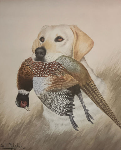 Carl Melichar S/N Hunting Dog Print Yellow Lab with Pheasant (12"x`15")