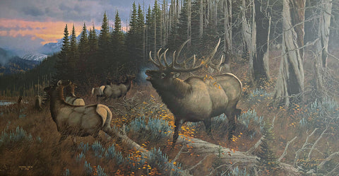 Michael Sieve Big Game Art Print Master of Intimidation-Elk S/N 28"x15"
