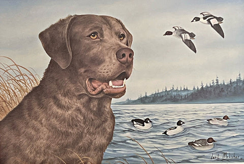 Carl Melichar S/N Hunting Dog Print Chesapeake with Goldeneyes (17.75"x12")