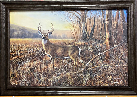 Jim Hansel Bluff Country Buck Deer farm Art Print Framed (Wood) 33 x 23