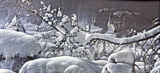 Collin Bogle Snow Pack Wolve Art Print- Image 31 x 15.5 Plus Border- Signed and Numbered w Cert