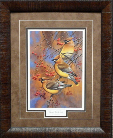 Cynthie Fisher Cedar Waxwings-Framed - 17"x21" Open Edition Framed Print