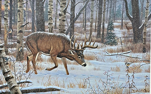 Cynthie Fisher Silent Pursuit Whitetail Deer S/N Art Print 22 x 14