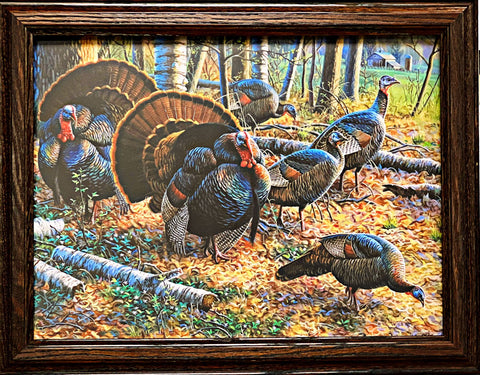 Cynthie Fisher Spring Strut Wild Turkey Art Print-Framed (Wood) 18.5 x 14.5