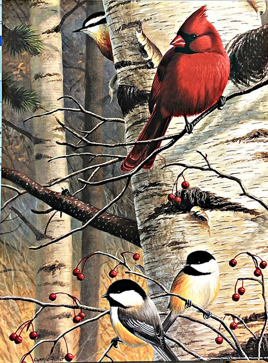 Cynthie Fisher Unannounced Vistors II Cardinal Art Print 12 x 16