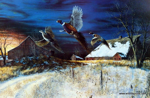 Jim Hansel Homestead - 18"x 10.5" Open Edition Farm Art Print
