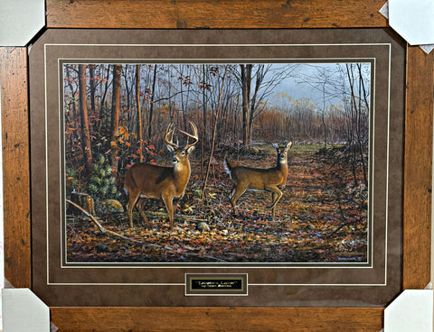 Scott Zoellick Lover's Lane Whitetail Deer S/N Art Print-Framed 31.5 x 24.5