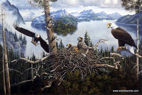 Derk Hansen Empowered To Be Free - 20.25"x 13.5" Open Edition