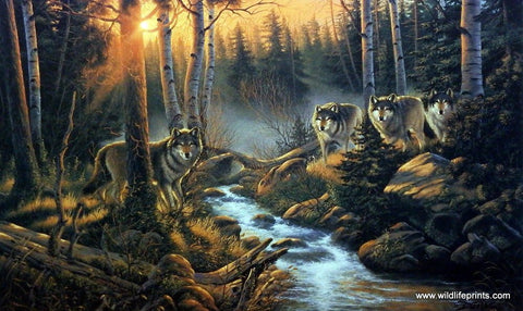 Derk Hansen Shadow Of The Forest - 21.5"x 13.5" Open Edition