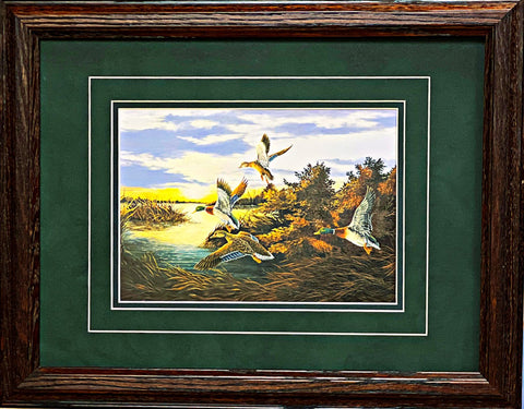 Don Blakney Wood Framed  Duck Art Print Mallard (18.5"x14.5")