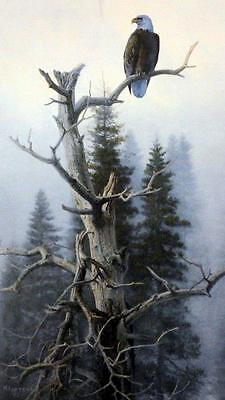 Don Kloetzke "Dawns Early Light Eagle Print SN 14.5" x 25"