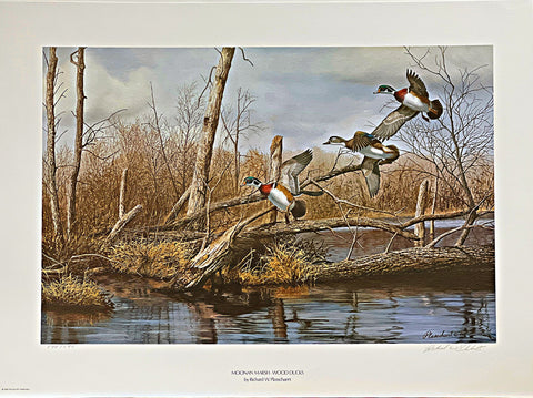 Richard Plasschaert Moonan Marsh Wood Ducks S/N Art Print 25 x 16.5