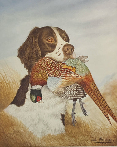 Carl Melichar Liver and White Springer with Pheasant S/N Art Print (12x15)