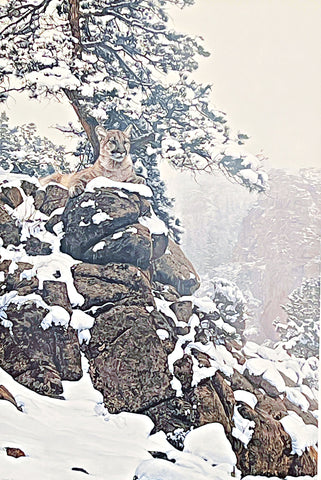 Terry Isaac Snow Spirit-Cougar S/N Art Print (22x33.5)