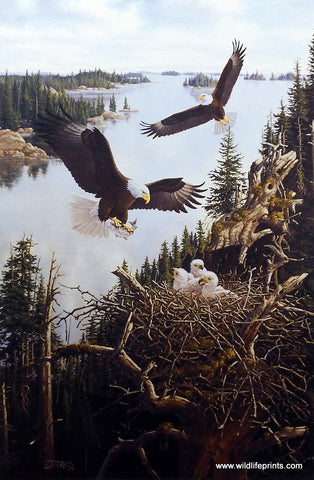 Derk Hansen Dawn Of A New Generation - 19"x 29" Open Edition