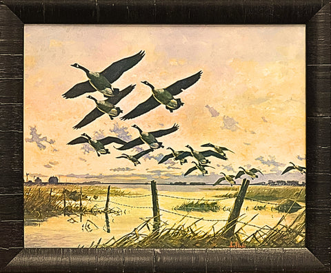 Lles Kouba Framed Waterfowl Art Print Canada Geese 23x19