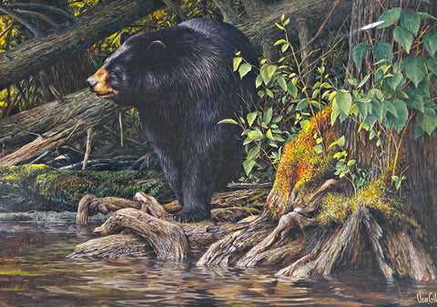 Ron Van Gilder, When Spring Calls Bear Art Print S/N (20x14)