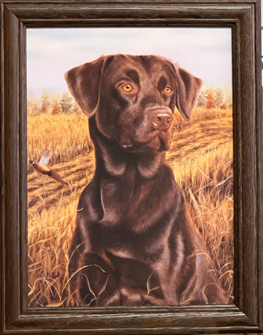 Michael Steddum Chocolate Lab Brandy Framed Print-11 x 14