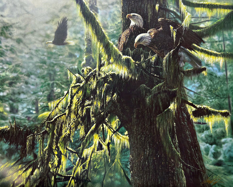 Collin Bogle Signed Eagle Art Print The Enchanted Forest (24x18.75)