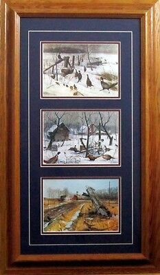Shelter Series Trilogy By Les Kouba Framed Pheasant Print 14 x 24.5