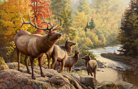 Greg Alexander River Walk S/N PP Deer Buck Art Print 22 x 15