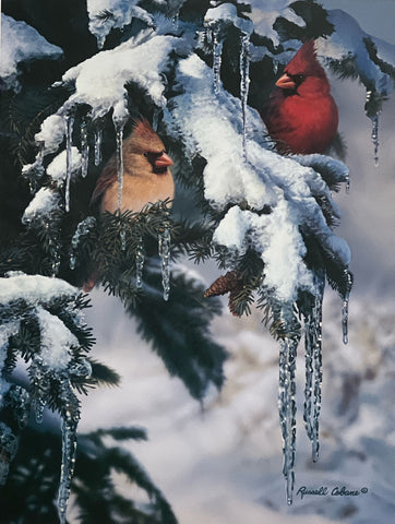 Russell Cobane Nature's Jewels Cardinal in the snow Art Print 12 x 16