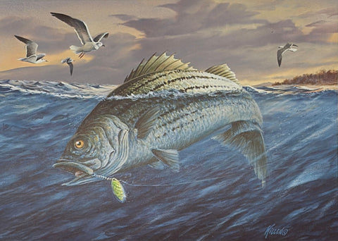 Jim Killen 1983 Striped Bass Stamp Print Gulls Over Stripers A/P 9"x6.5"