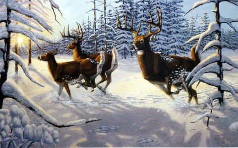 Gene Stewart Winter Glory - 21"x13.5"- Open Edition