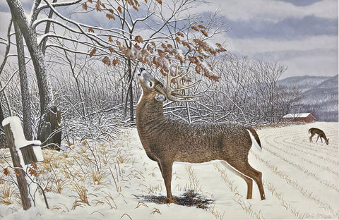 Greg McGowin Scrapeline Revival Deer Buck S/N Art Print-24 x 16