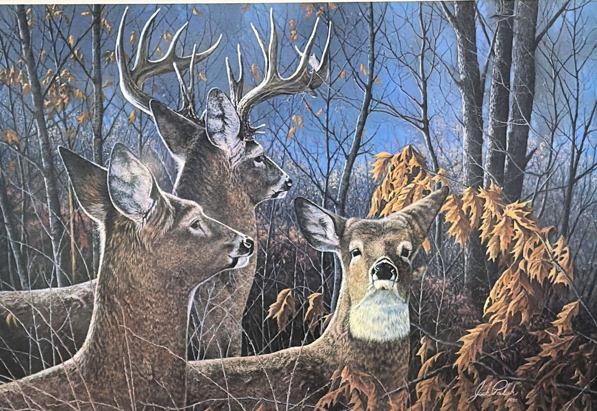 Jack Paluh Cautious Moment Whitetail Deer S/N Art Print 24 x 16