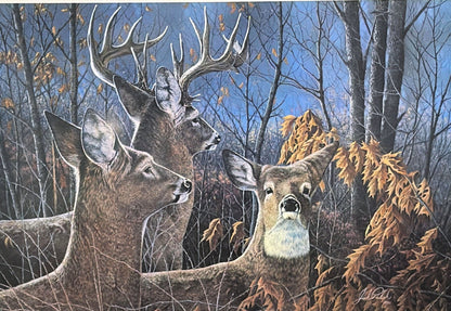 Jack Paluh Cautious Moment Whitetail Deer S/N Art Print 24 x 16