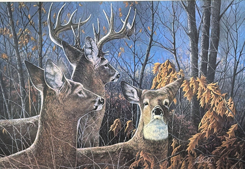 Jack Paluh Cautious Moment Whitetail Deer S/N Art Print 24 x 16