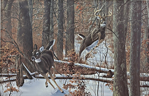 James Kennedy MDHA Whitetail Deer Art Print Time to Hustle S/N 24.25"x16.25"
