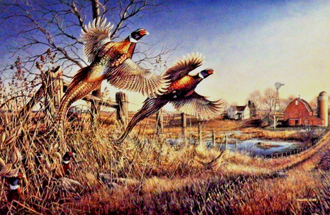 James Meger Homestead S/N Pheasant Farm Art Print-Image size 24 x 16