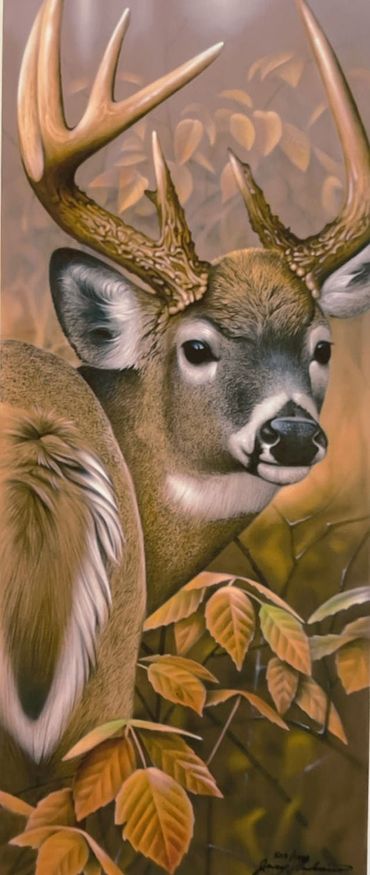 Jerry Gadamus Blindside Whitetail Buck  S/N Deer Art Print  10 x 24
